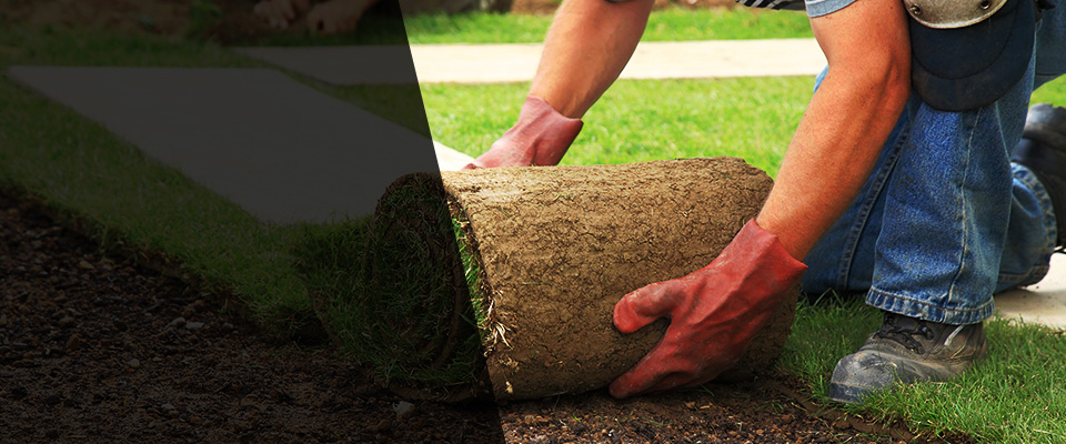 Cogan Station Landscapers